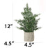 Pine Tree with a Black Stripe Base Tabletop Decor, 12", by Holiday Time