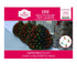 150-Count Multicolor Incandescent Net Lights, 24 sq. ft., Holiday Time