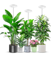 6.3" Grow Light Full Spectrum Halo Plant Lights for Indoor Growing Set of 3
