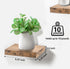 Sorbus 4pk Square Floating Wall Shelves  - Mahogany