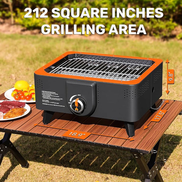Portable Propane Gas Grill Tabletop Gas and Charcoal Grill 2-in-1