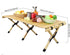 Folding Camping Table Lightweight Roll-Up Aluminum Low Portable Picnic with Carrying Bag