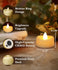 YOJACIKI 24 Pack Flameless Candles LED Tea Lights Battery Operated