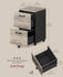 VASAGLE 2-Drawer File Rolling Filing Cabinet Printer Stand - Greige / Black