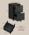 VASAGLE 2-Drawer File Cabinet Small Rolling Filing Cabinet - Black