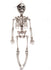 Halloween Hanging Skeleton Decoration - White