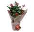 Holly Berries Xmas Plant - 17"H