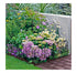 Metal Garden Edging, 4 Panels