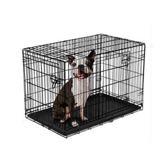 Vibrant Life Double-Door Foldable Metal Wire Dog Crate with Divider, Small, 24"