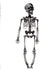 Halloween Hanging Skeleton Decoration - Gray